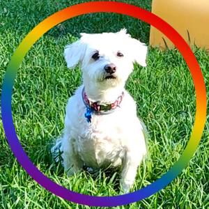 Meet your Posher, Ericka